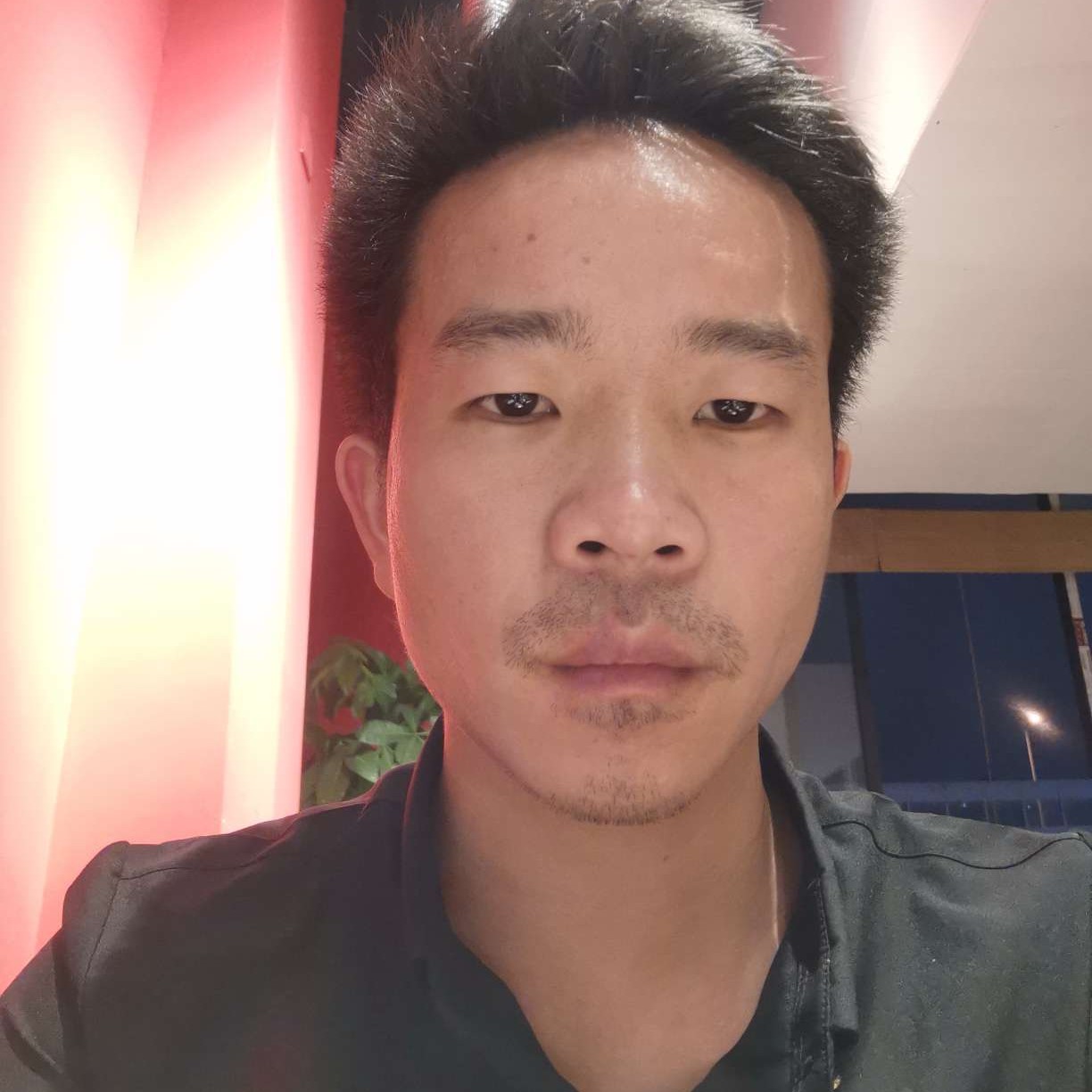 薯片怕黑的照片