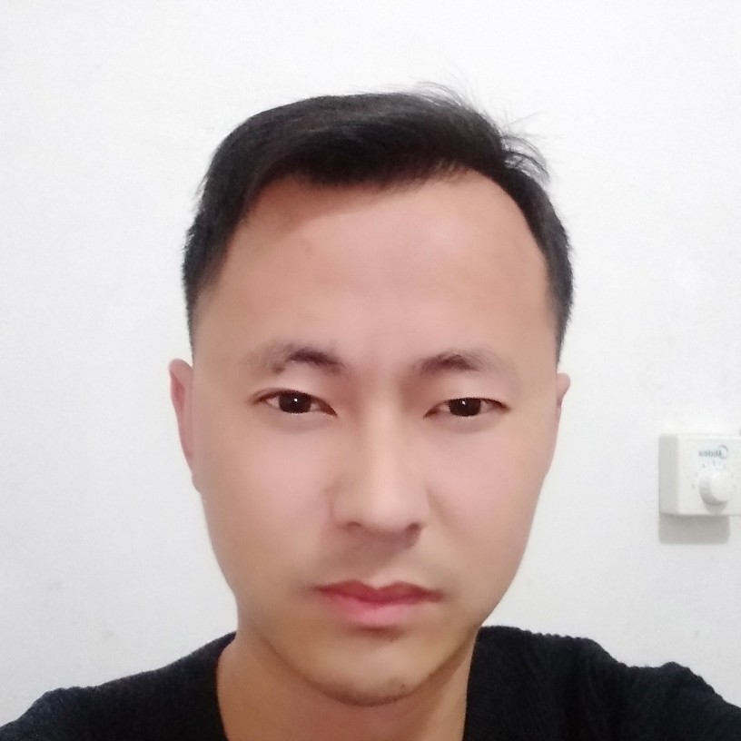 旋风林的照片