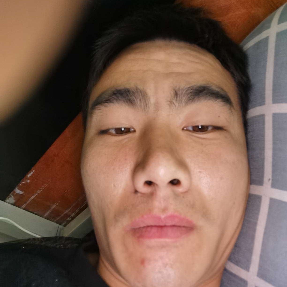 森槿相许浮生的照片