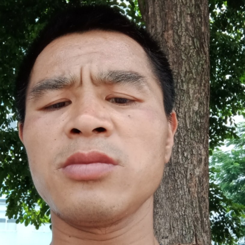 会员566720770的照片