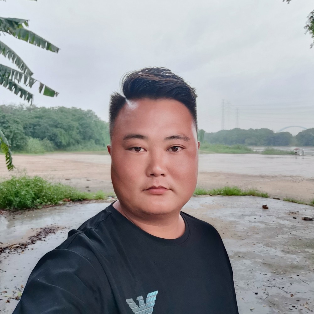 树叶拿生动的照片