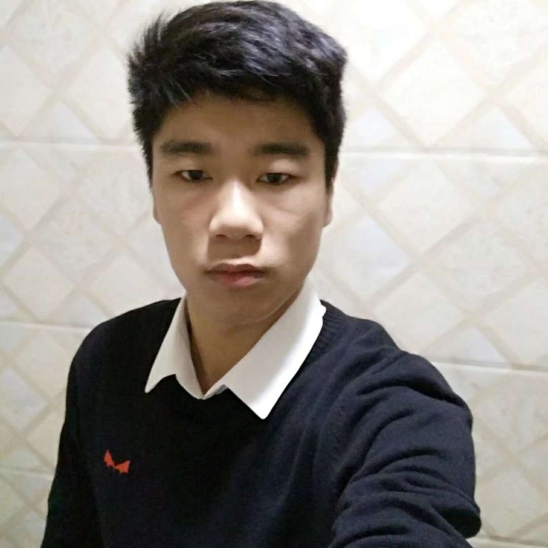 腼腆倾心红玫瑰的照片