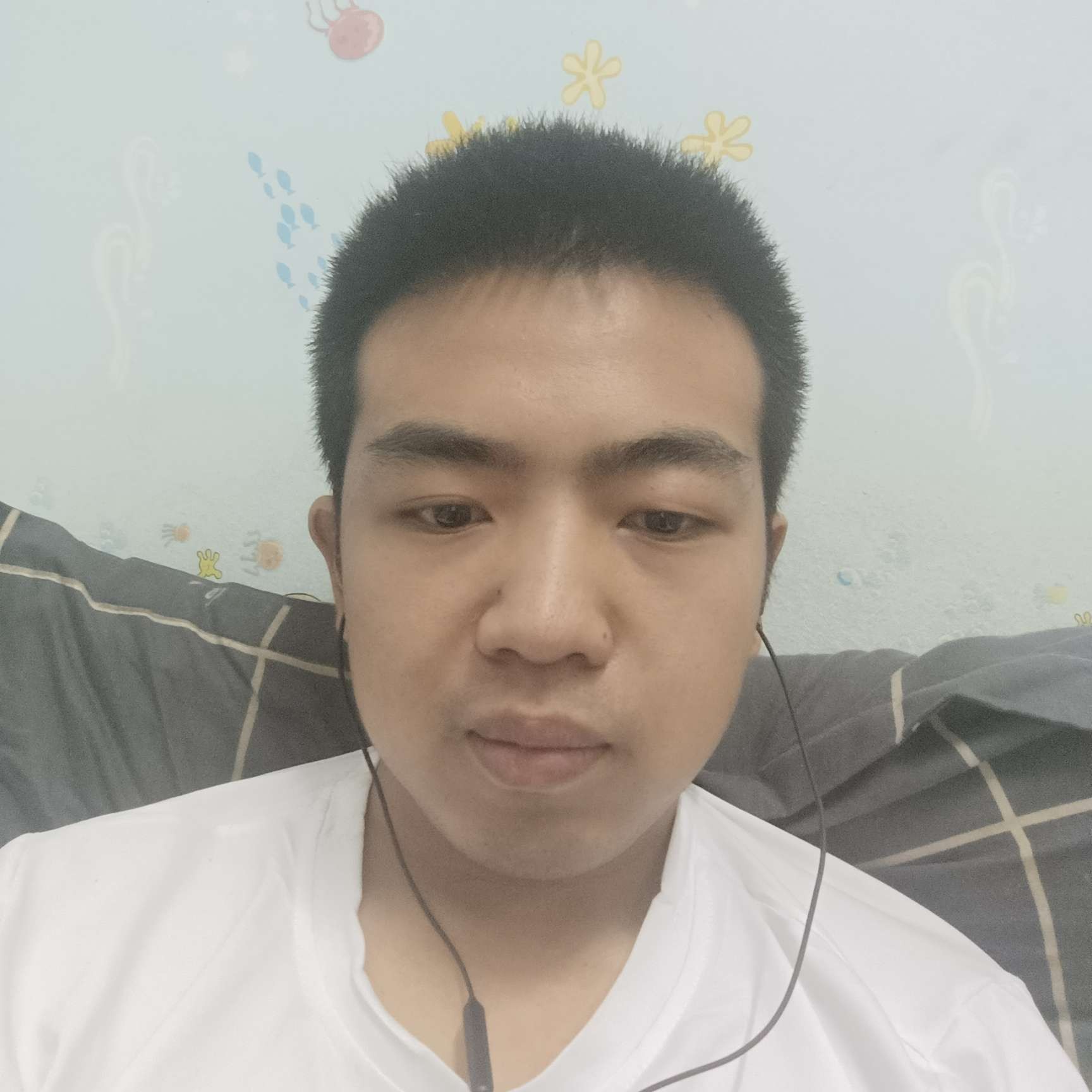 兮颜保卫黯然~的照片