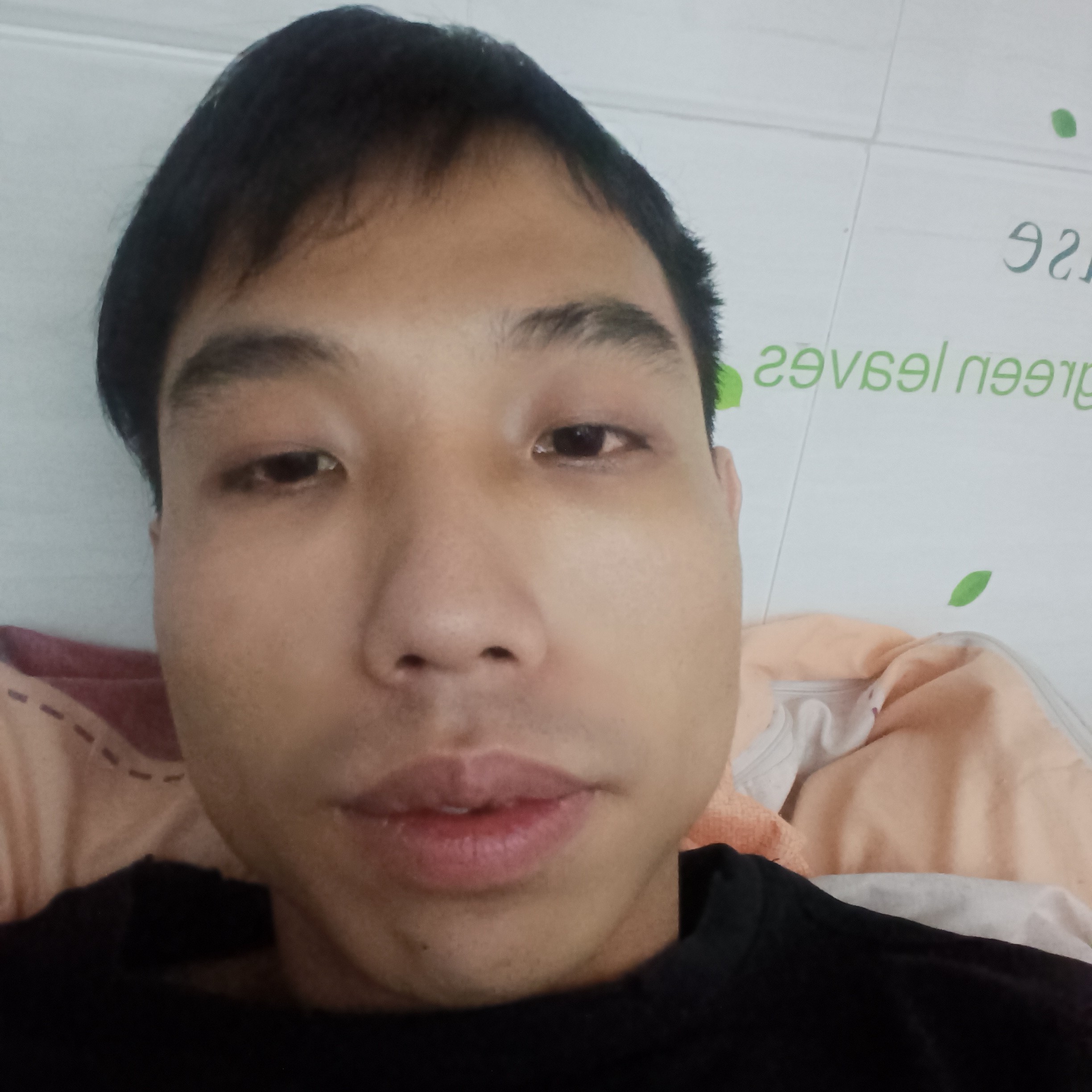 奋斗停止洛尘的照片