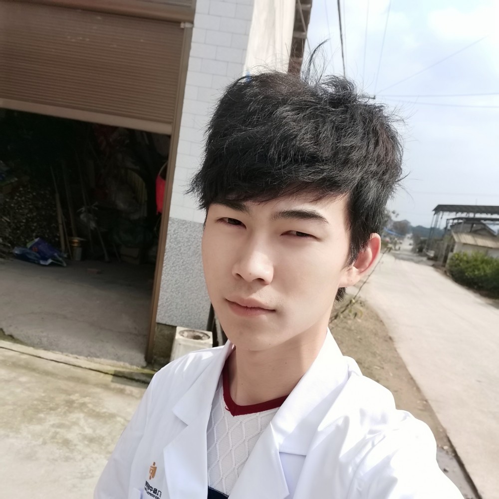 白昼多么从容的照片