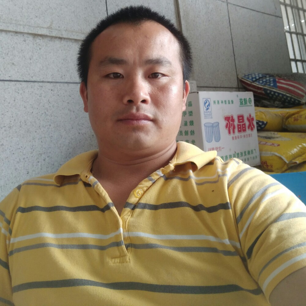 金六668的照片