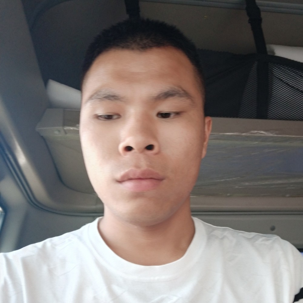 认真蹁跹小海豚的照片