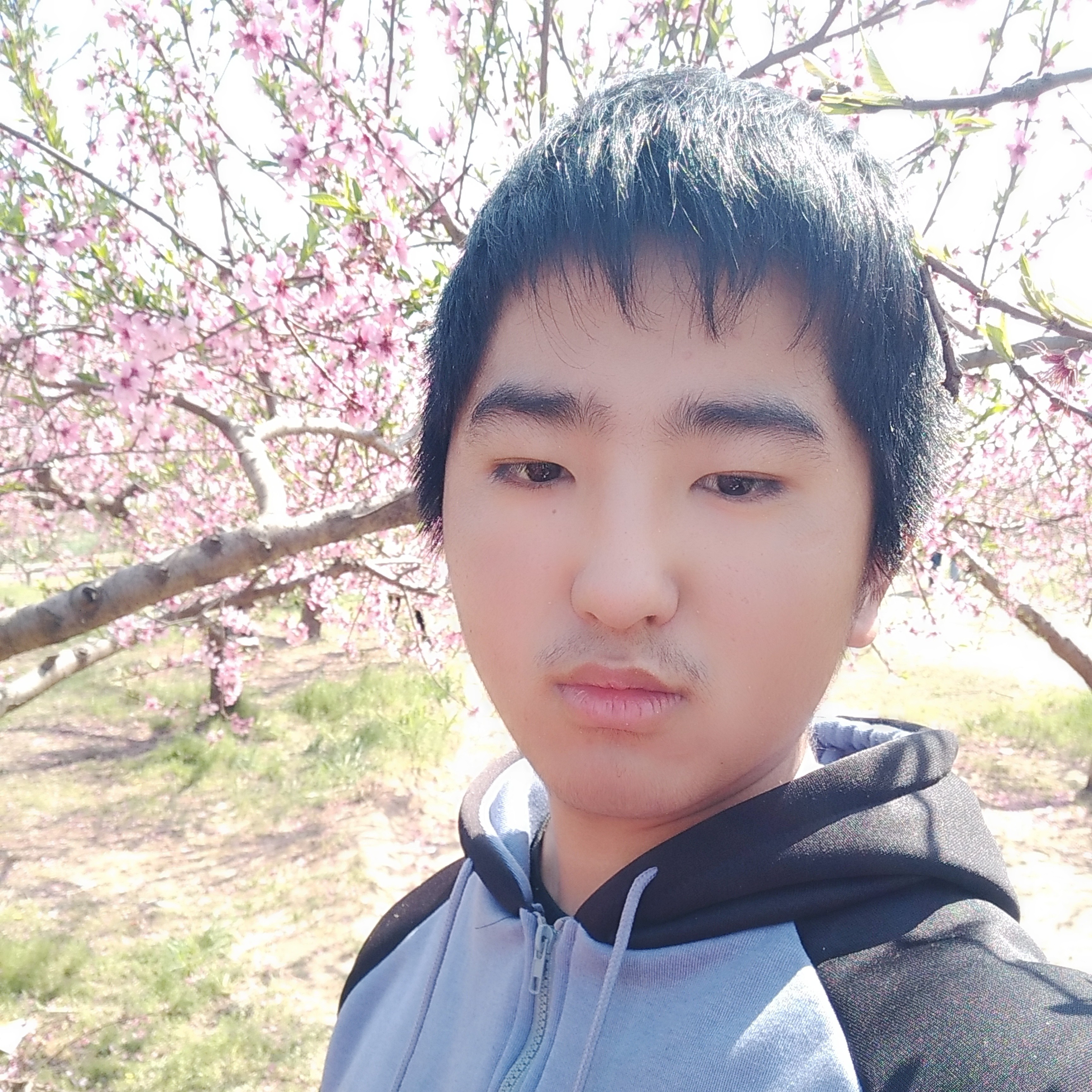 超帅迎汉堡的照片