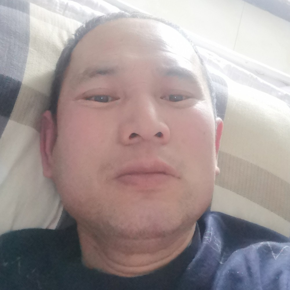 缓慢多么板栗的照片