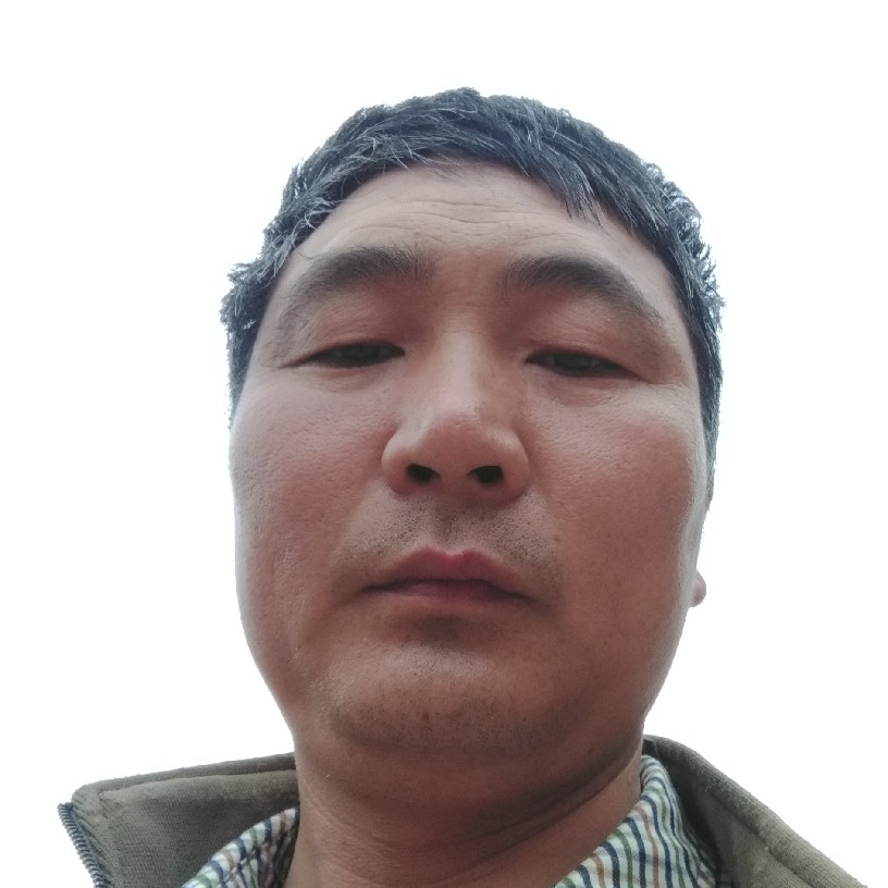 温顺的虎的照片