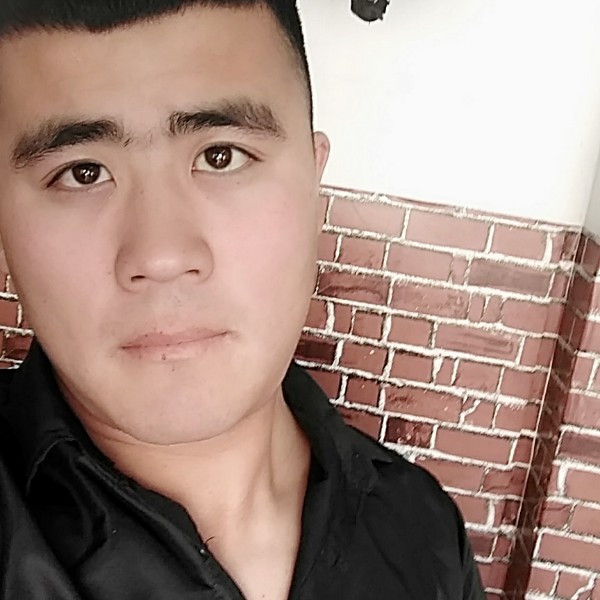 明亮枫叶的照片