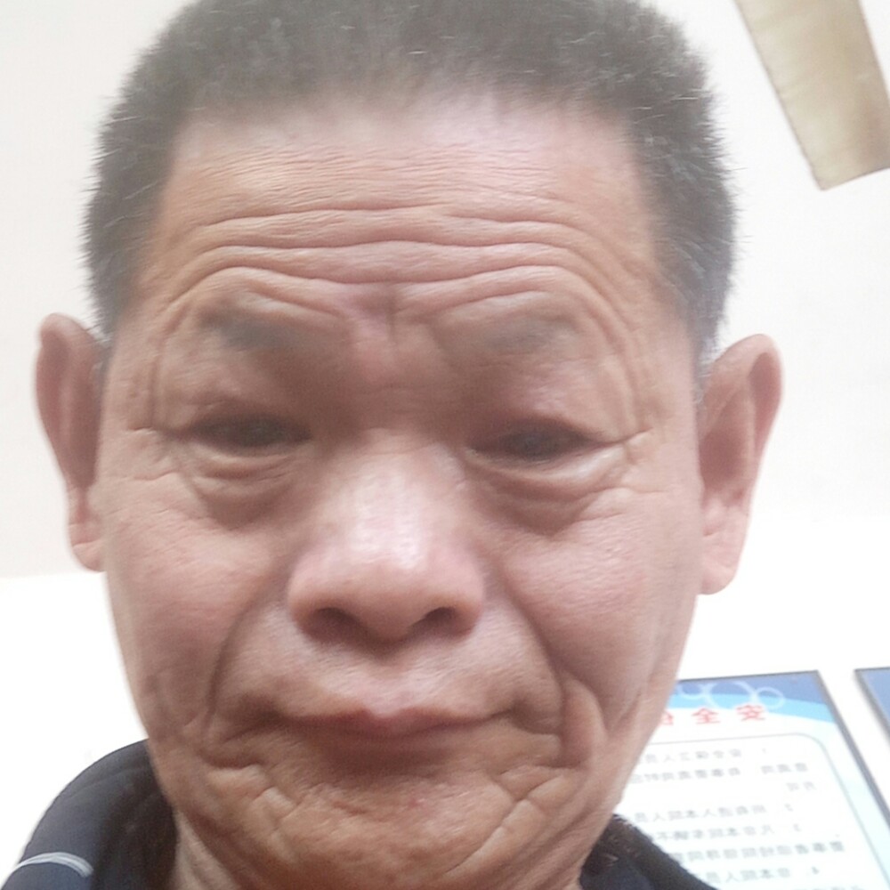 向日葵保卫无心的照片