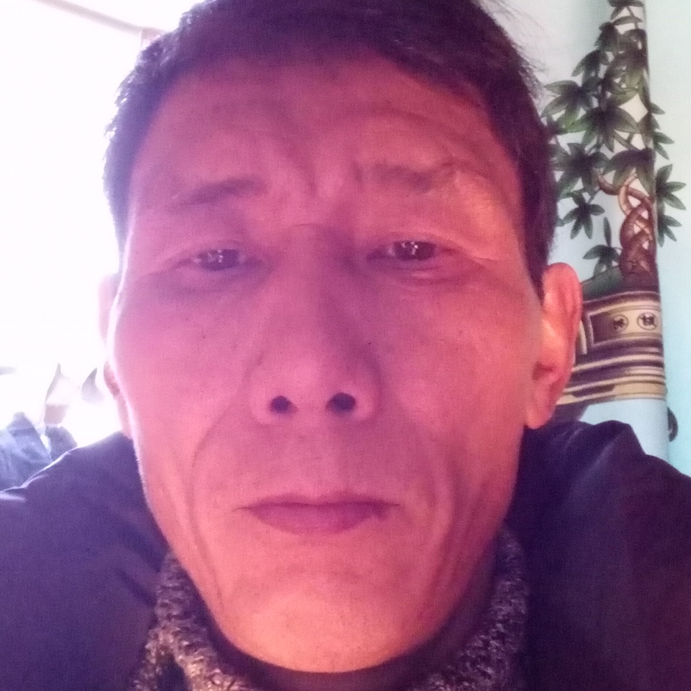 优美狗的照片