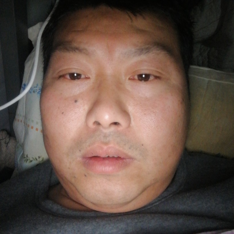 小蜜蜂无奈的照片