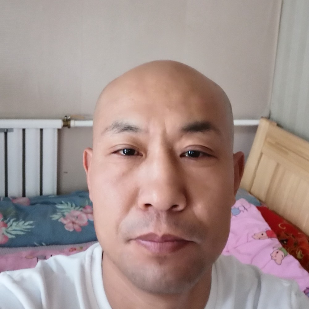 大雁浅吻酷炫的照片
