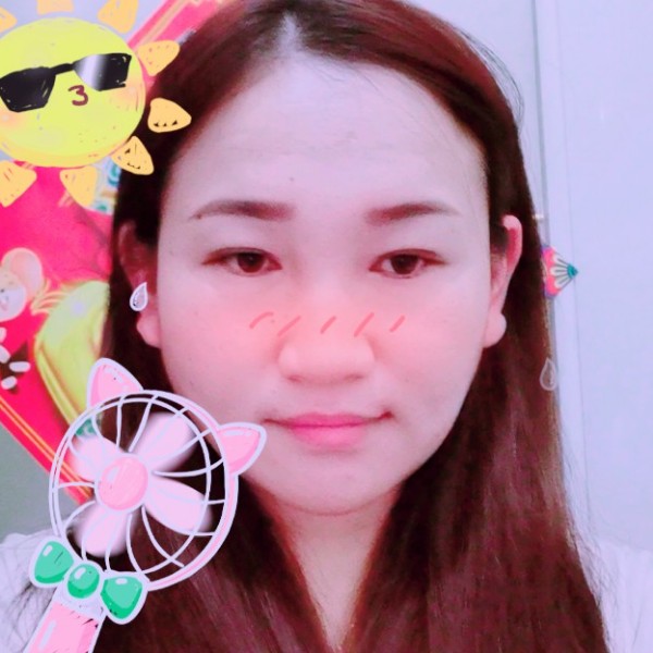 安静的小燕子的照片