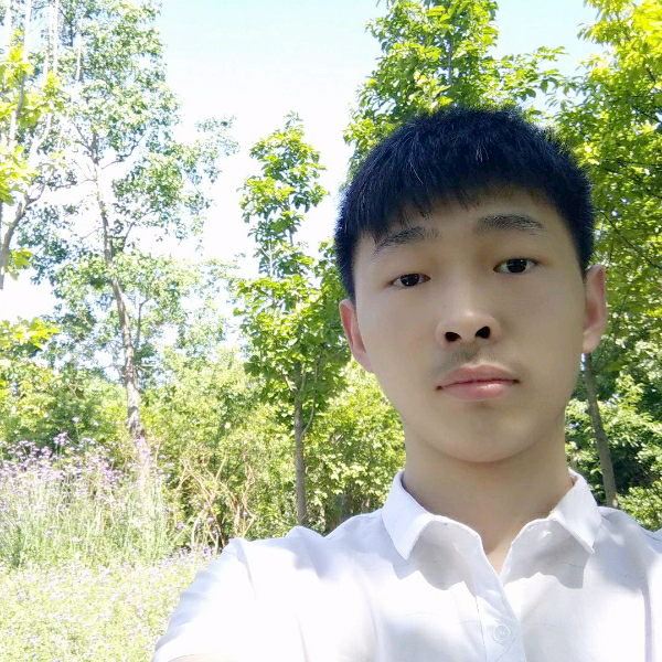 孤城一座坟的照片
