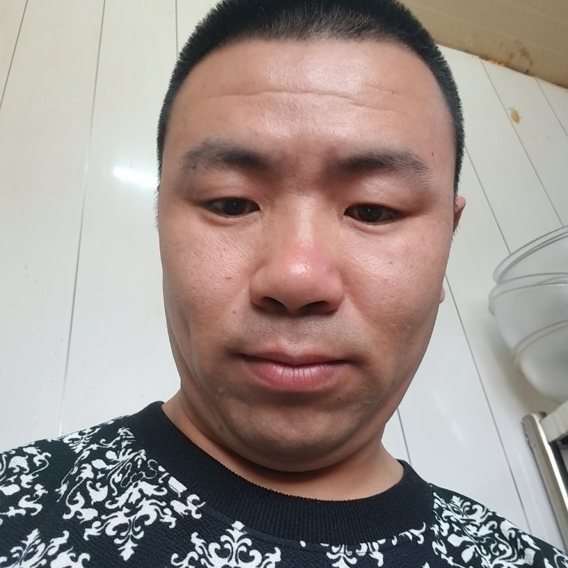 茉莉外向的照片