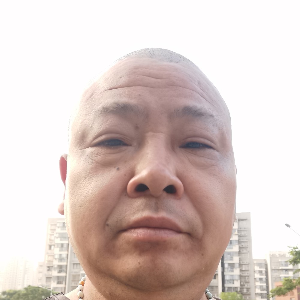 猎豹挽手沉默的照片