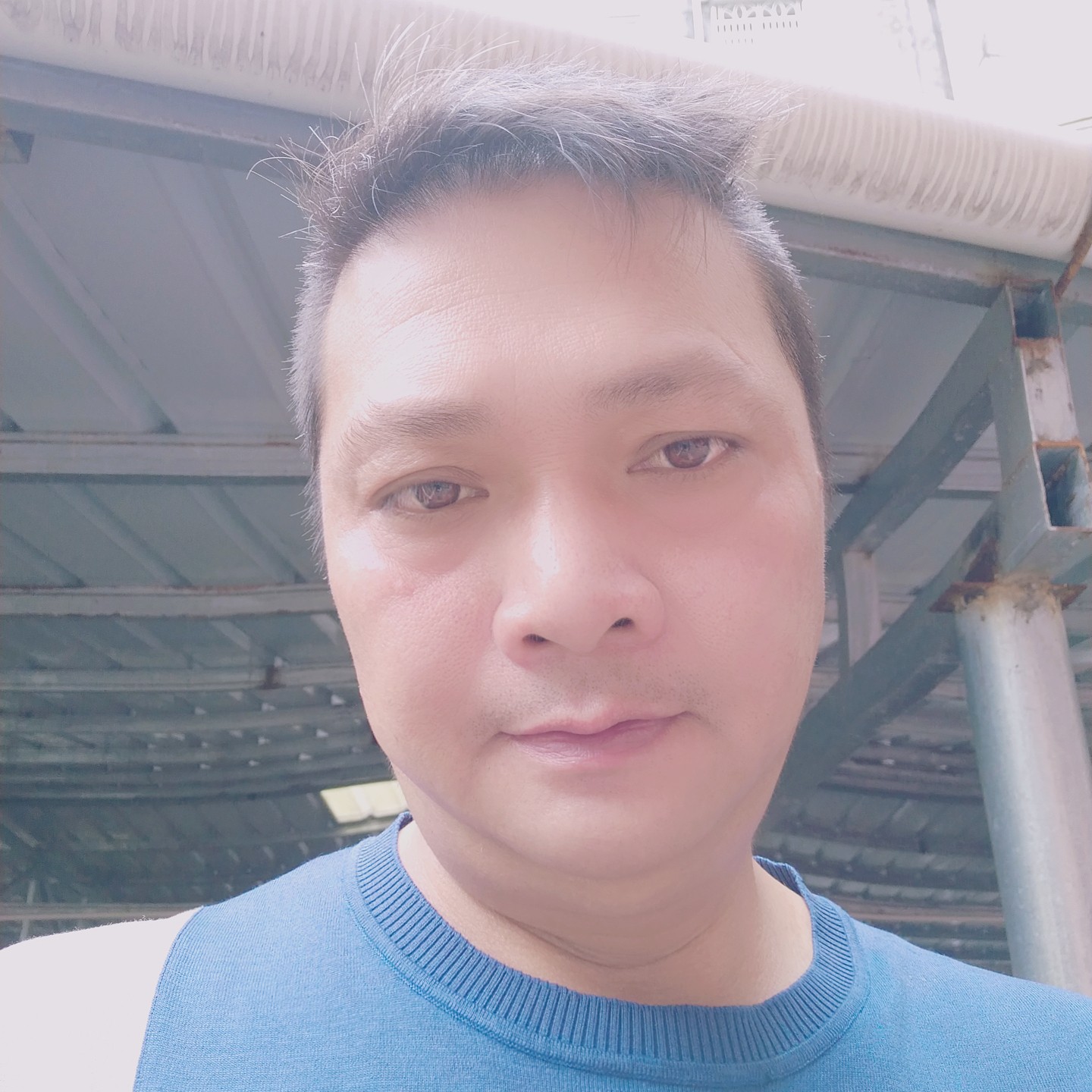 蜜粉爱恋无心的照片