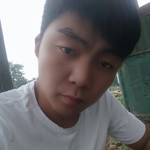 无心苦恋的照片