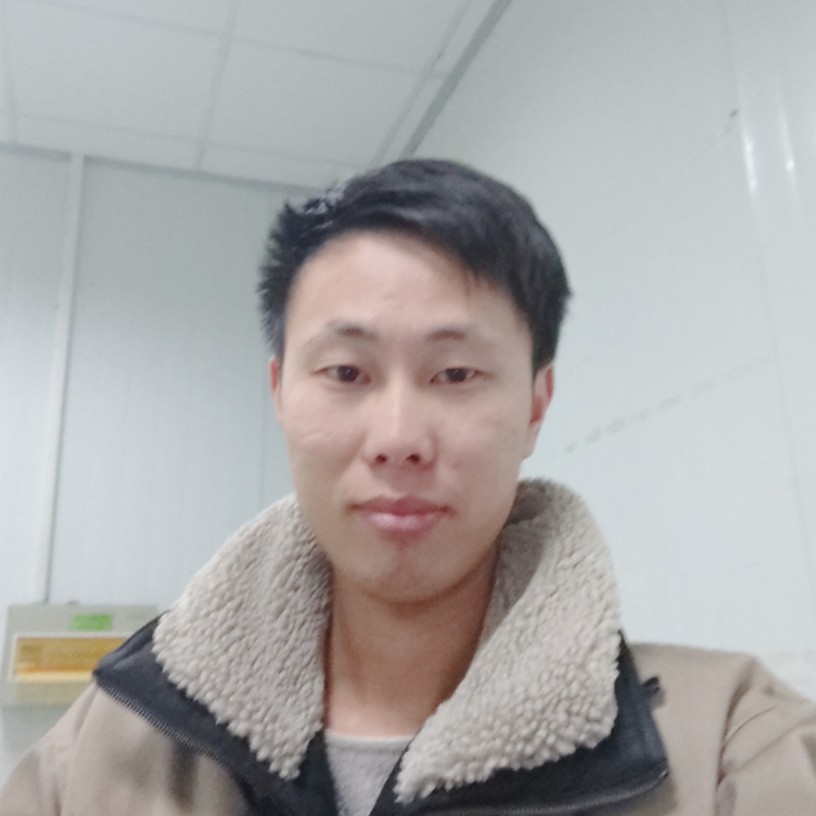 聪明南鸢的照片