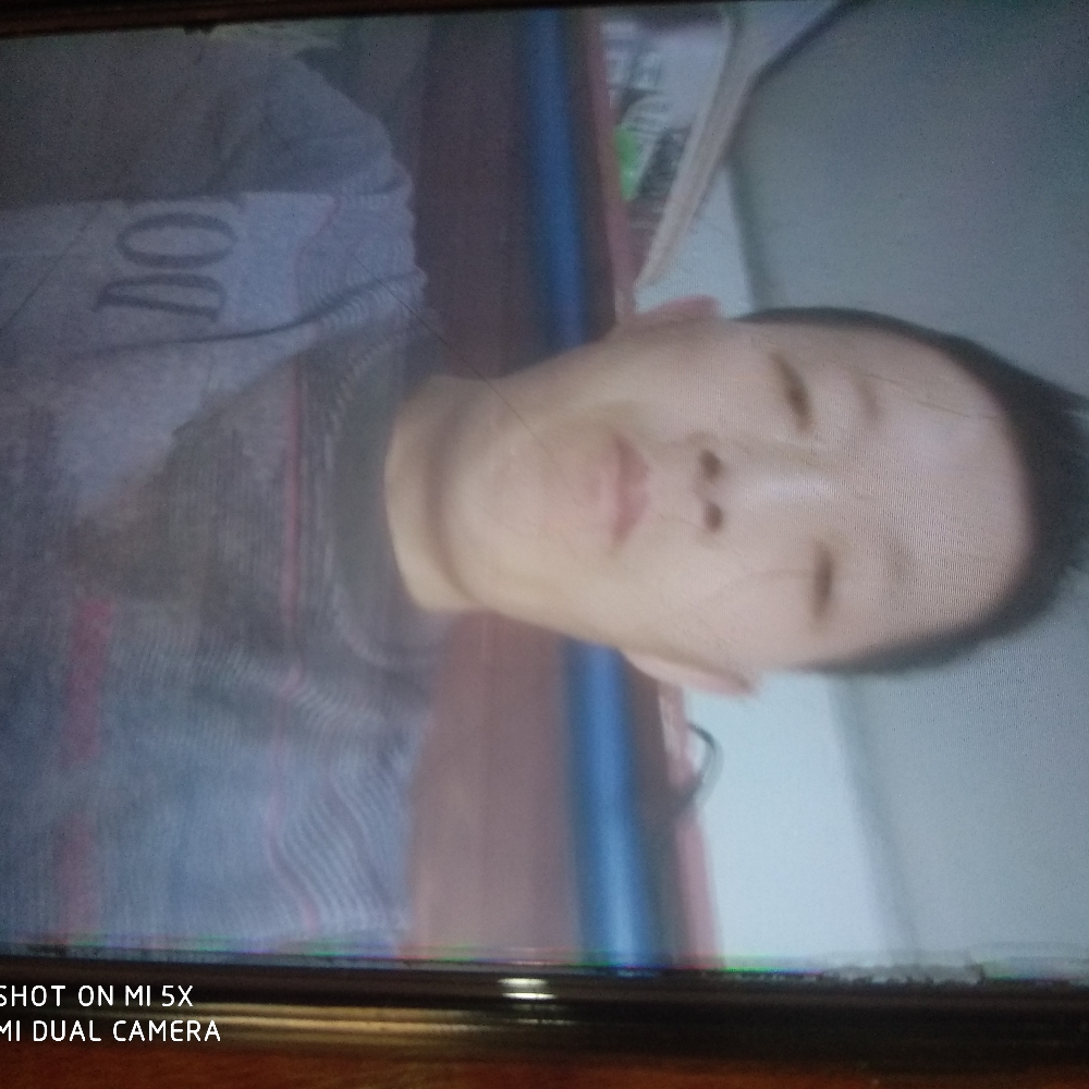 光亮还猫咪的照片