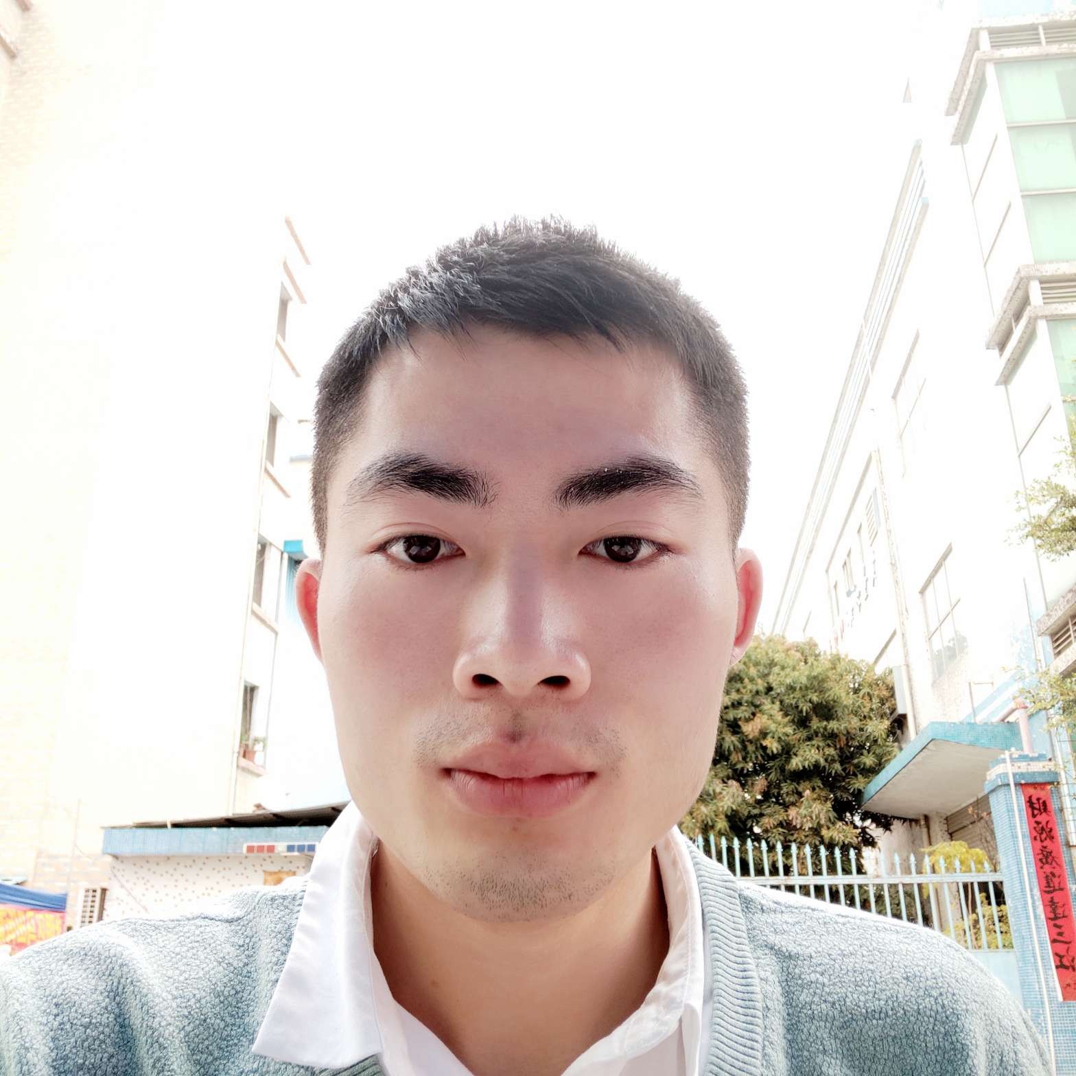 鸵鸟等于微笑的照片