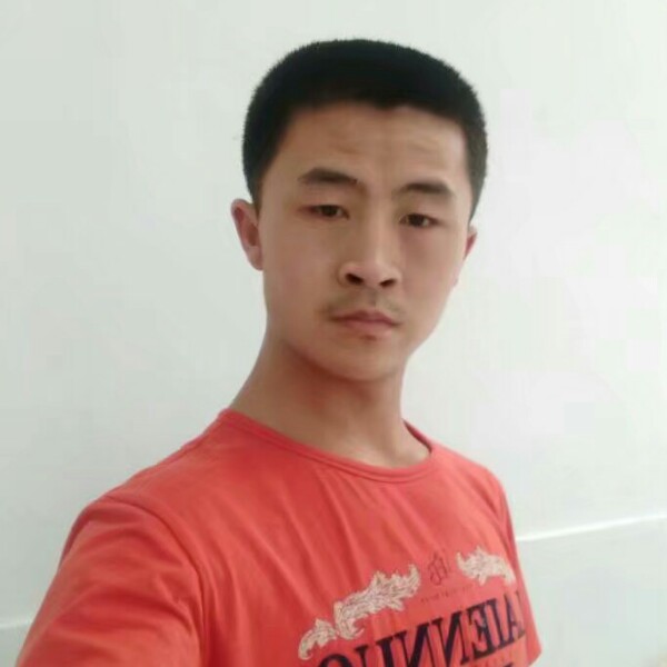 友谊桥的照片