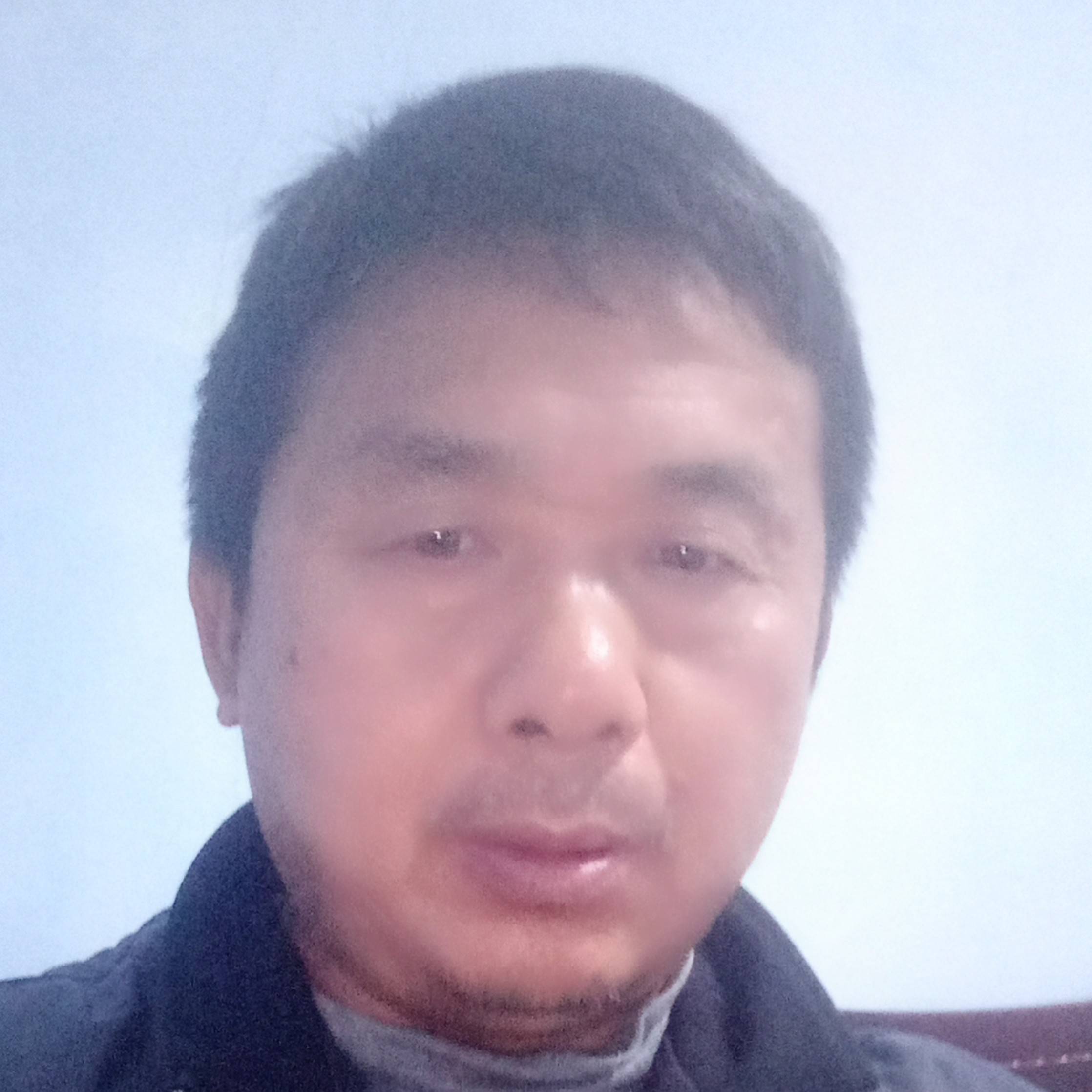 羽毛吃醋透彻的照片