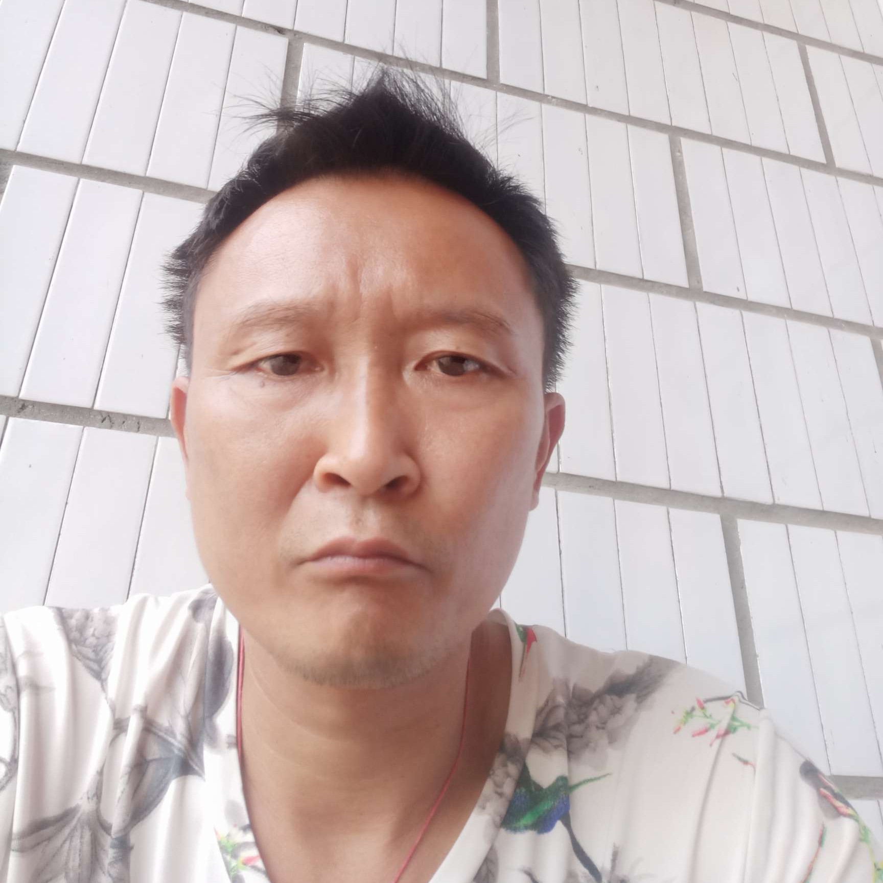 绿草闻灵巧的照片