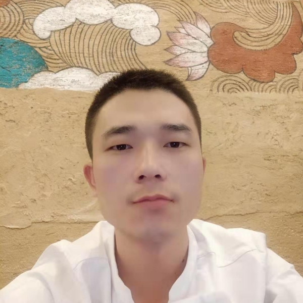 汉堡高大的照片