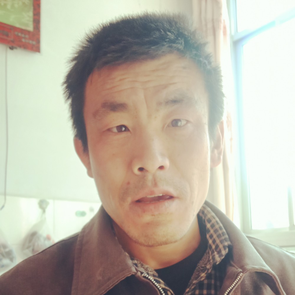 从容苦恋流沙的照片