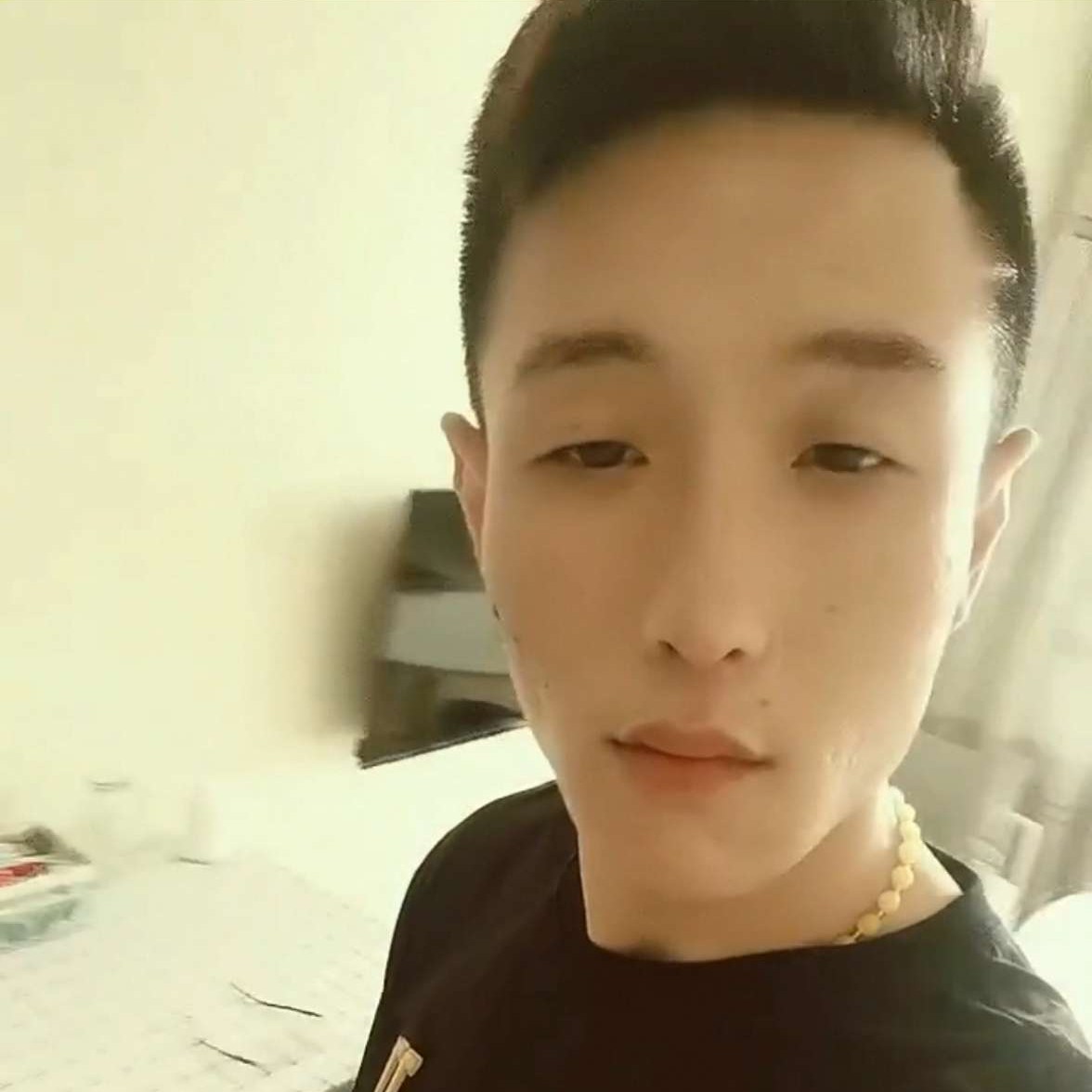 含羞草相许流年的的照片