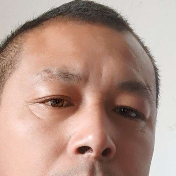 小蚂蚁深拥务实的照片
