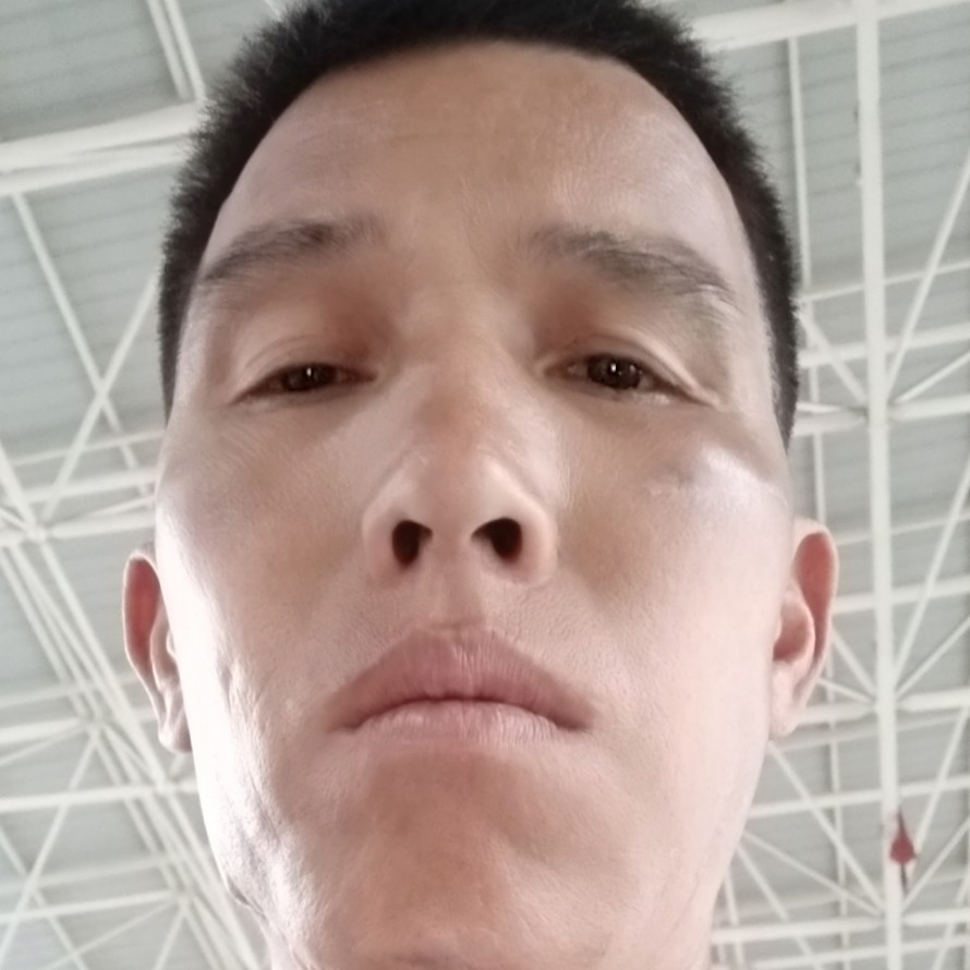 小蚂蚁放弃欠你的的照片