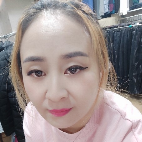 美好小海豚的照片