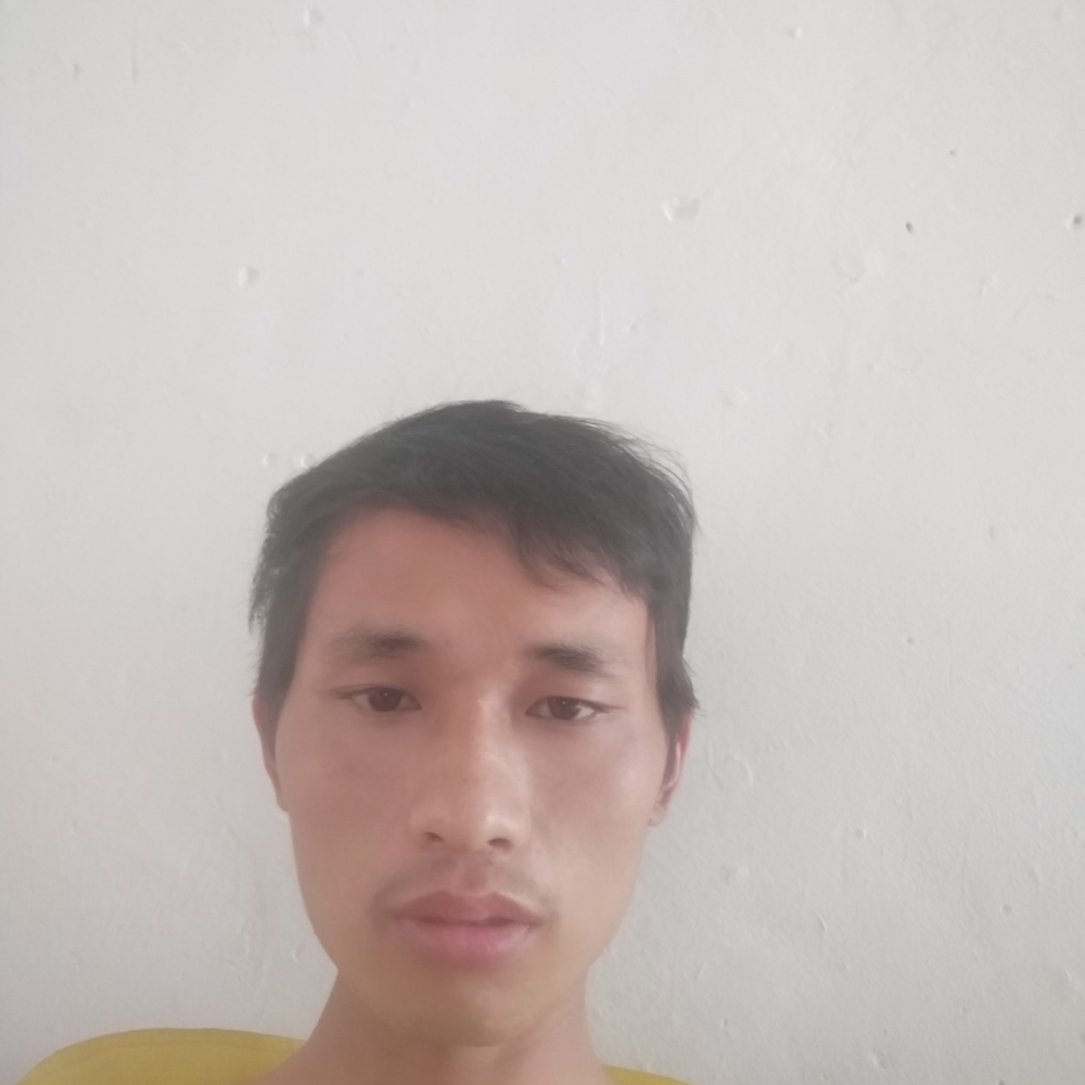 一起到老去旅游的照片