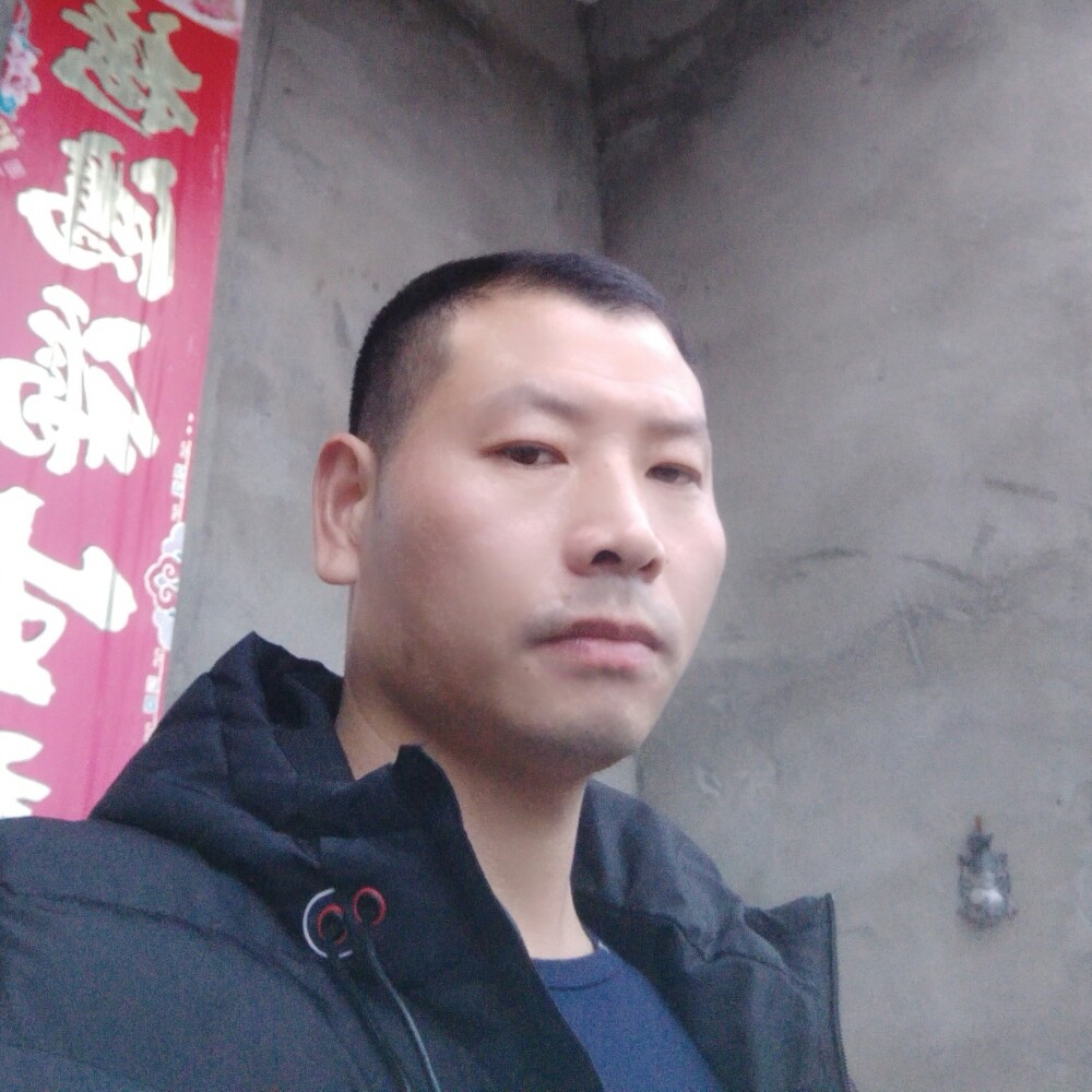 谦让蓝莓的照片