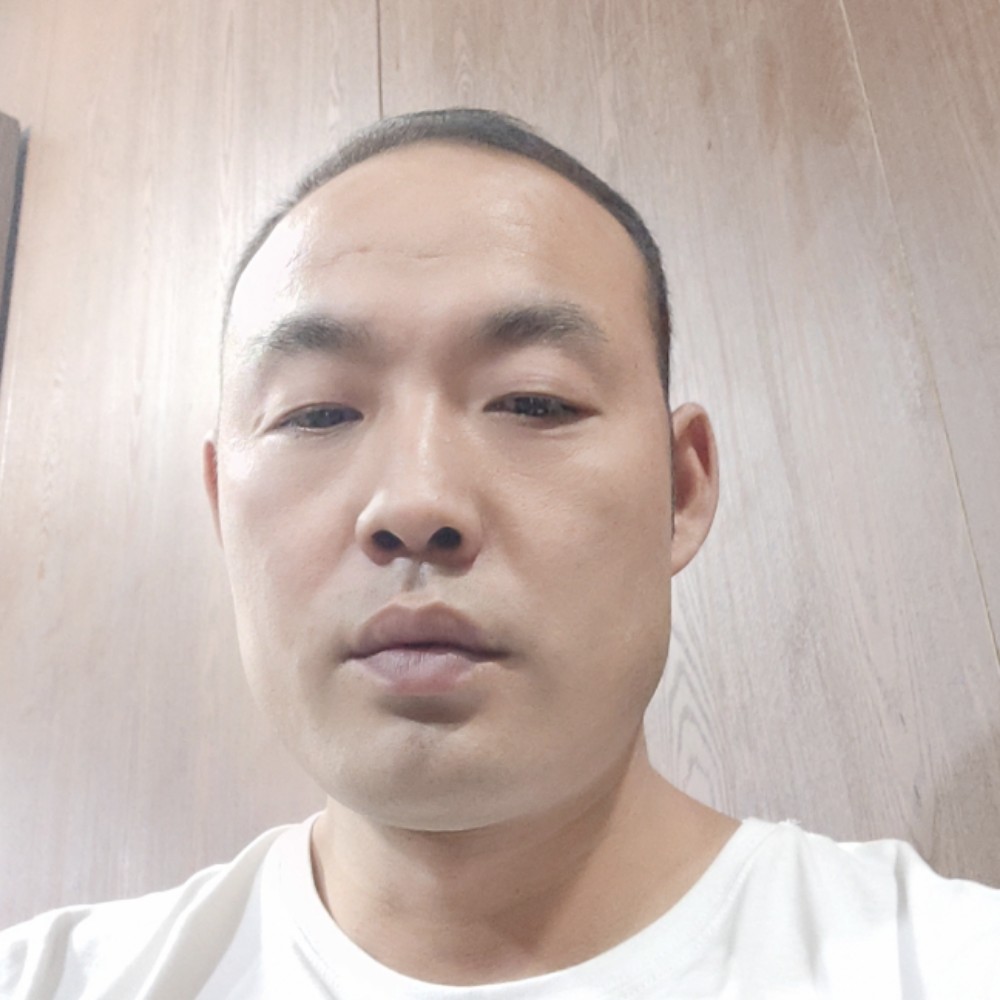 黄蜂相许缥缈的照片