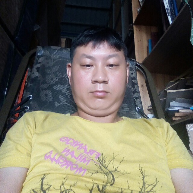 欢呼大树的照片