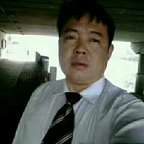 江南垂柳的照片