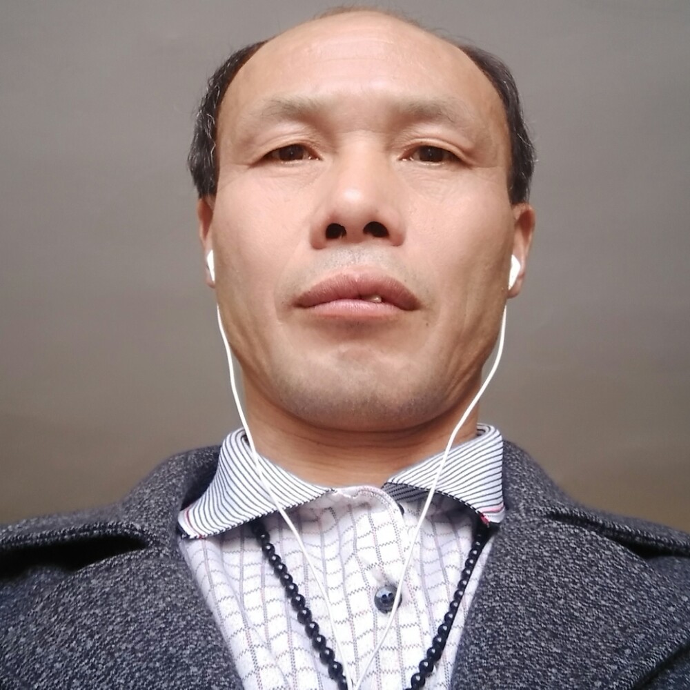 自行车整齐的照片