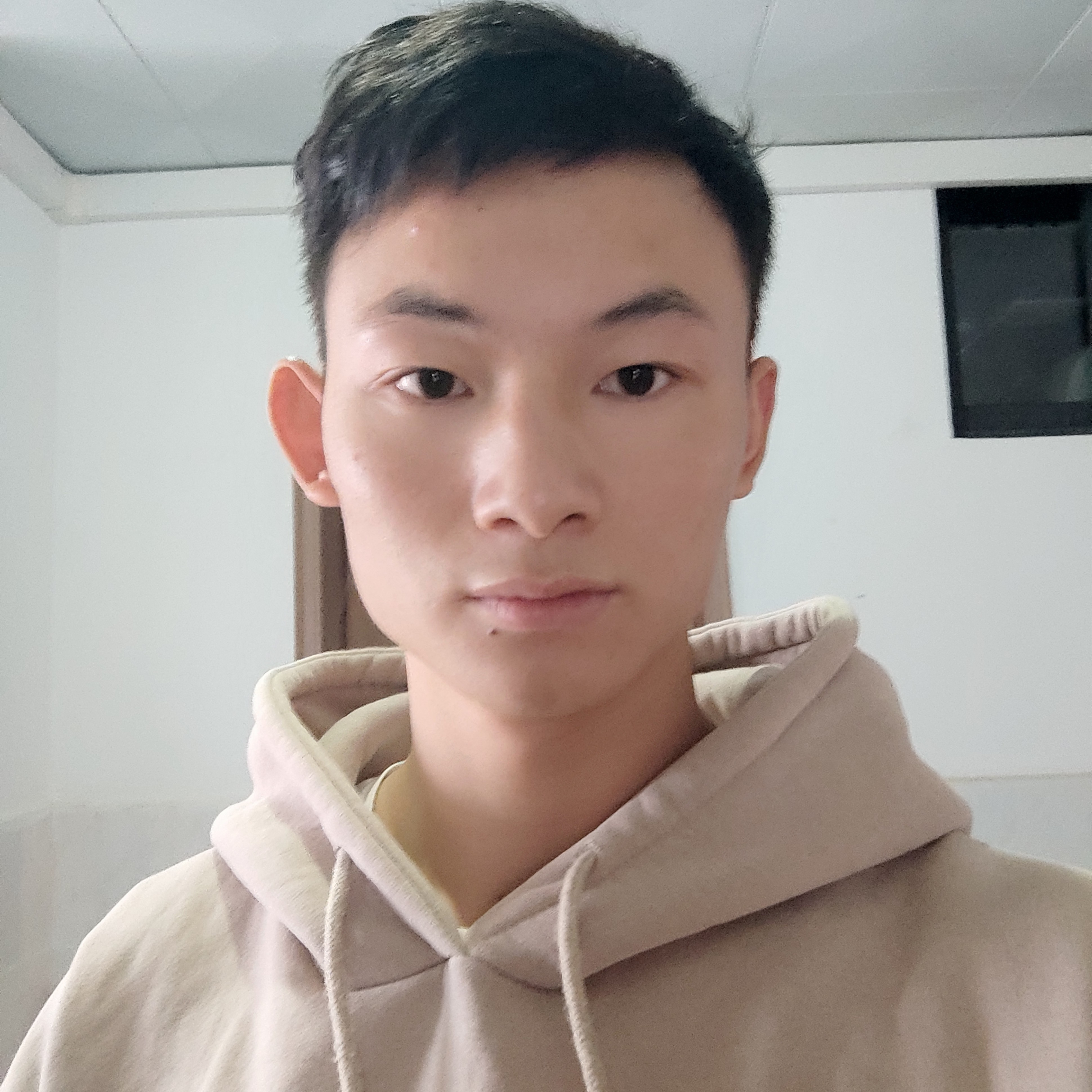 迅速深拥鱼的照片