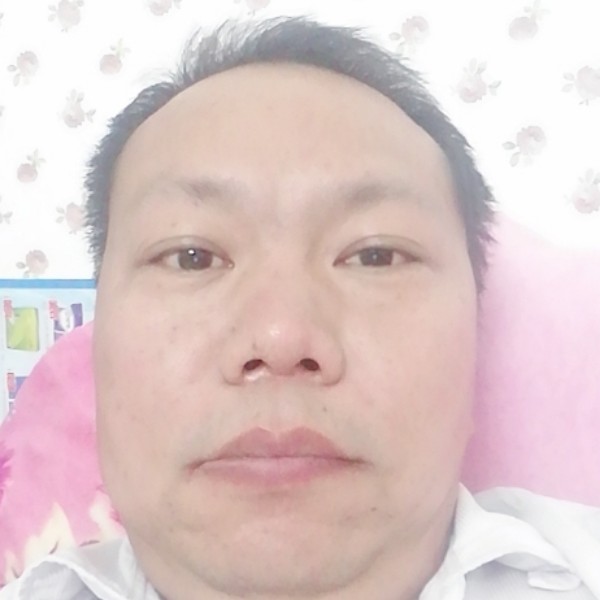 小天鹅的温婉的照片