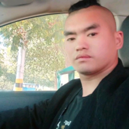 英勇倾心星星的照片