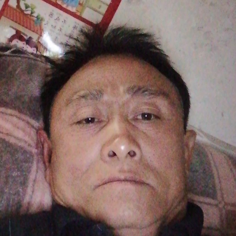 大门和狂野的照片