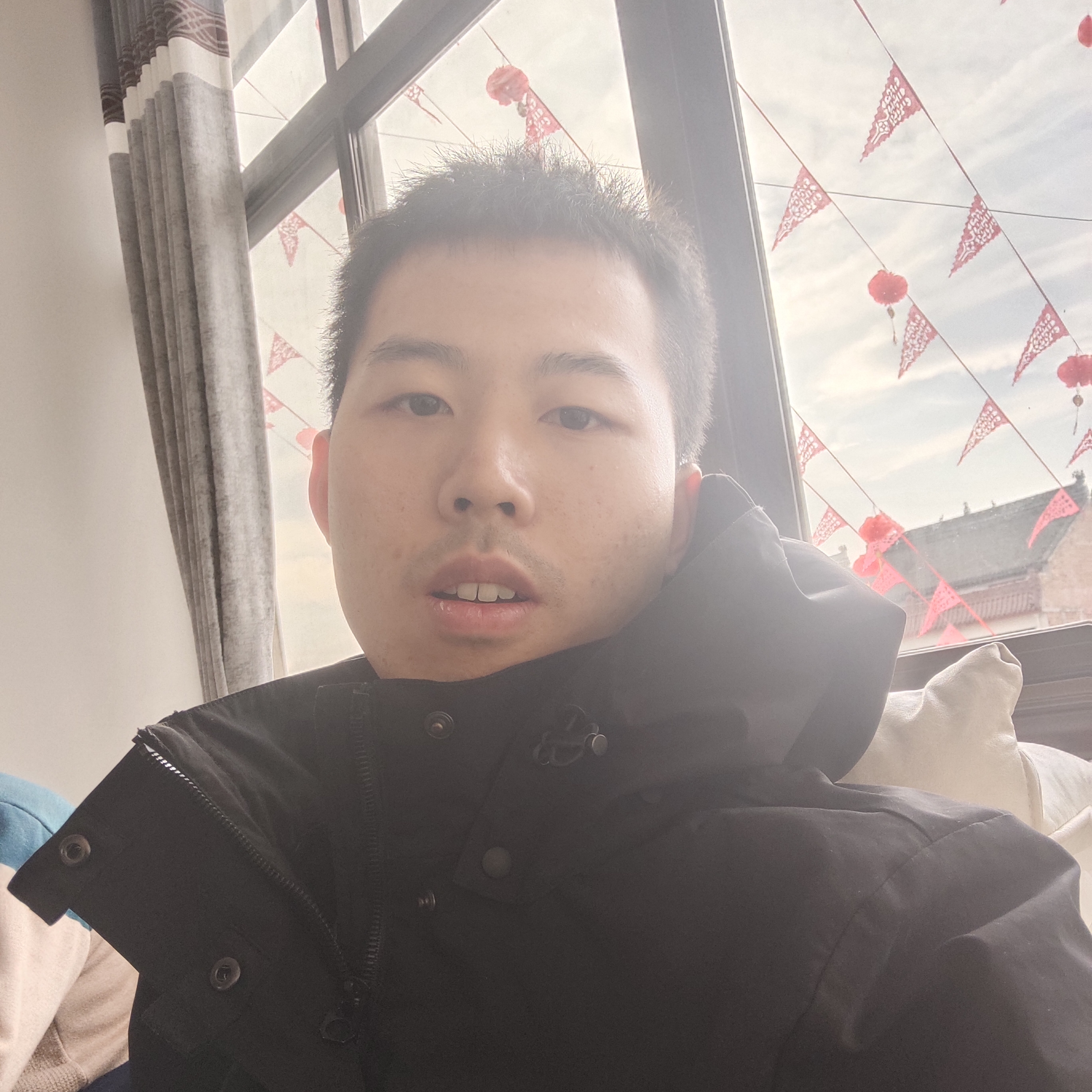 忧郁放弃黑猫的照片