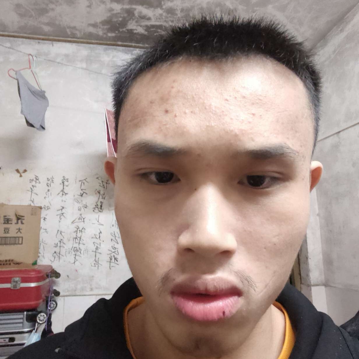 欢喜挽手月光的照片