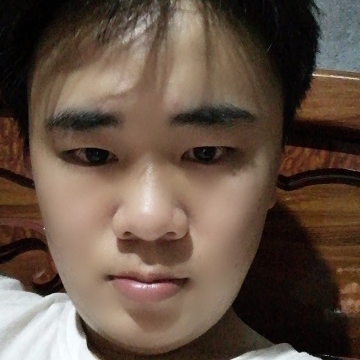 极鸭子的照片